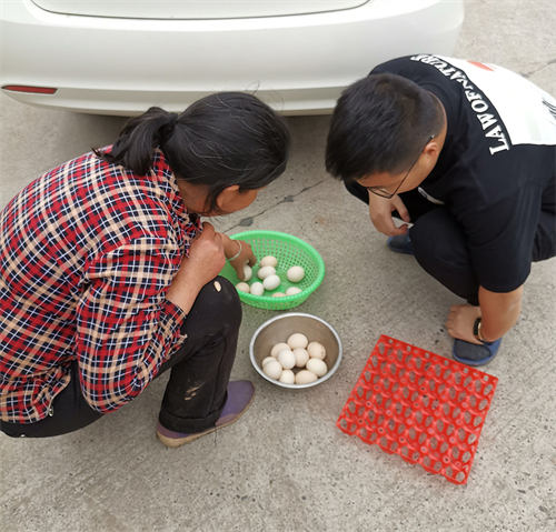 靠搬运农村山货,月入5万+