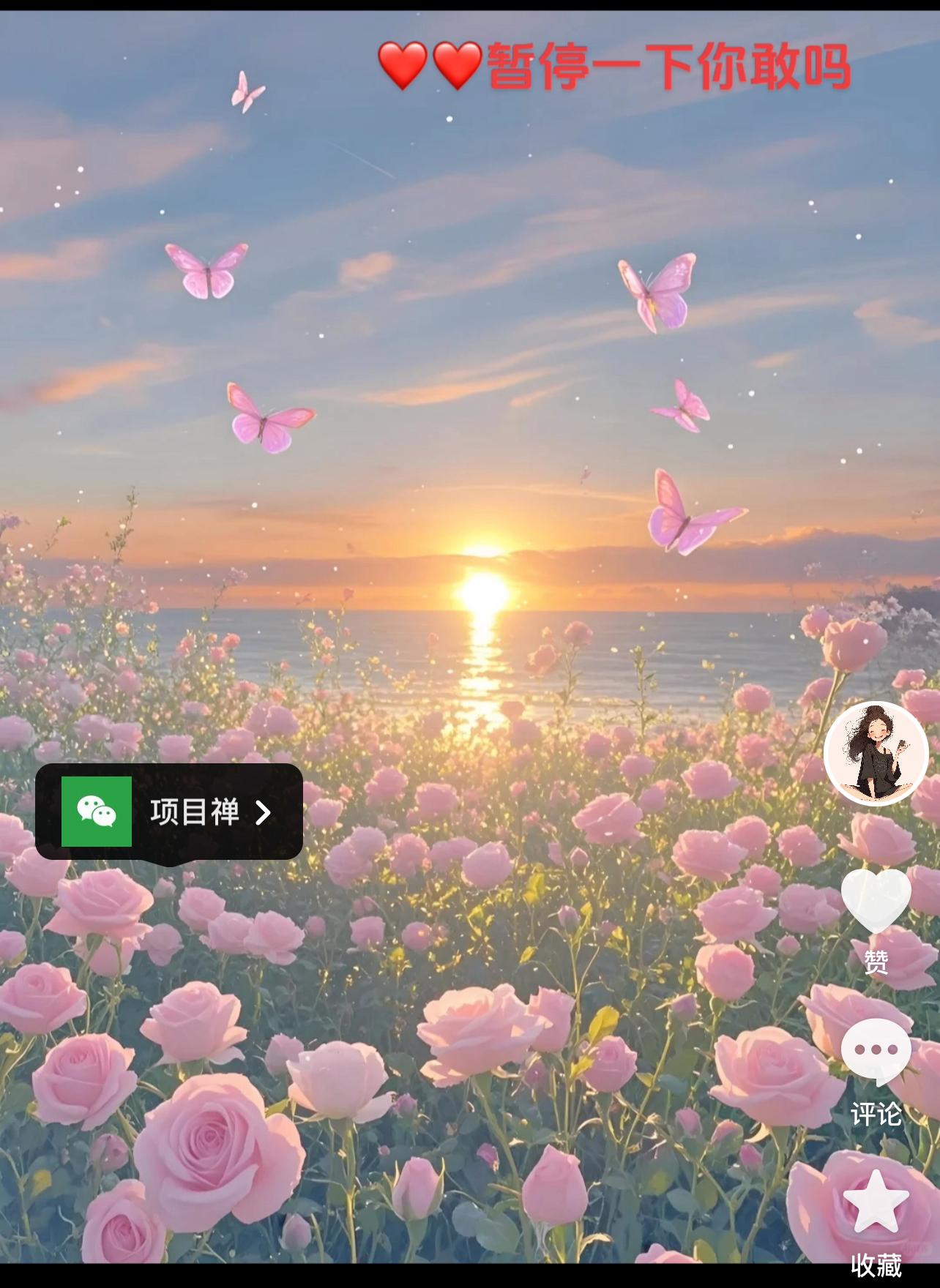 微信图片_20241022234809.jpg 微信图片_20241022234809.jpg