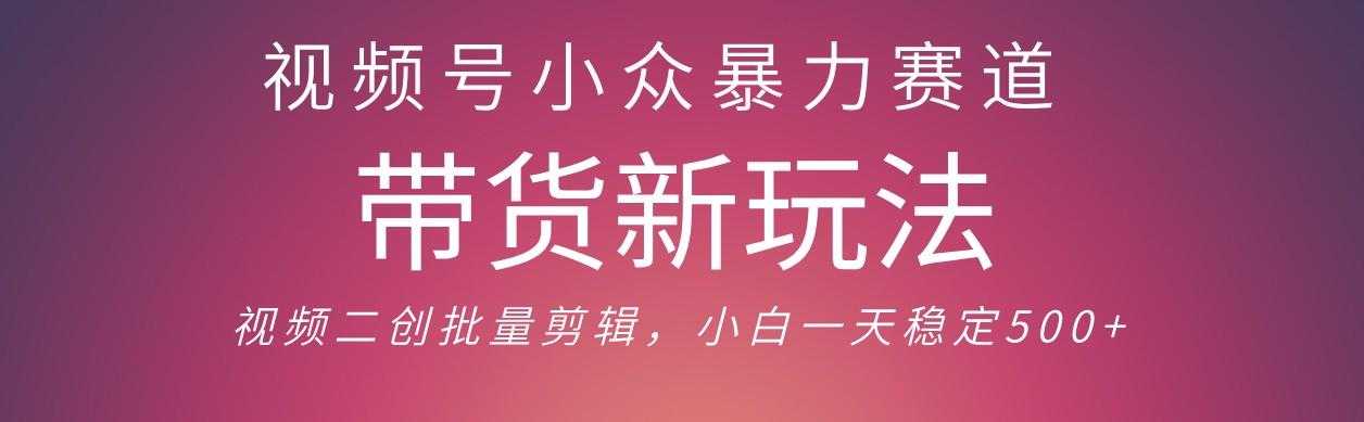 视频号小众暴力赛道,最新带货玩法 小白也能轻松日入500+ 保姆及教程